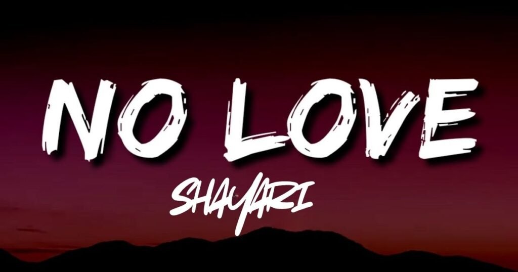 Best 99+ No Love Shayari in Hindi & English | Read & Explore Now